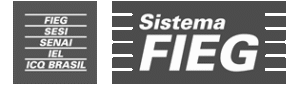 Sistema FIEG